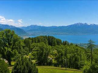 Experience breathtaking panoramic views of a serene lake and majestic mountains from this stunning property.