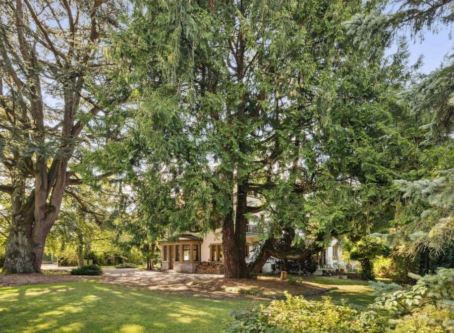 Discover the charm of this stunning property, nestled amidst lush greenery and mature trees.