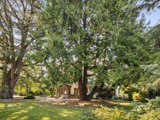 Discover the charm of this stunning property, nestled amidst lush greenery and mature trees.