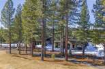 Nestled amidst towering trees, this stunning property offers a serene escape.