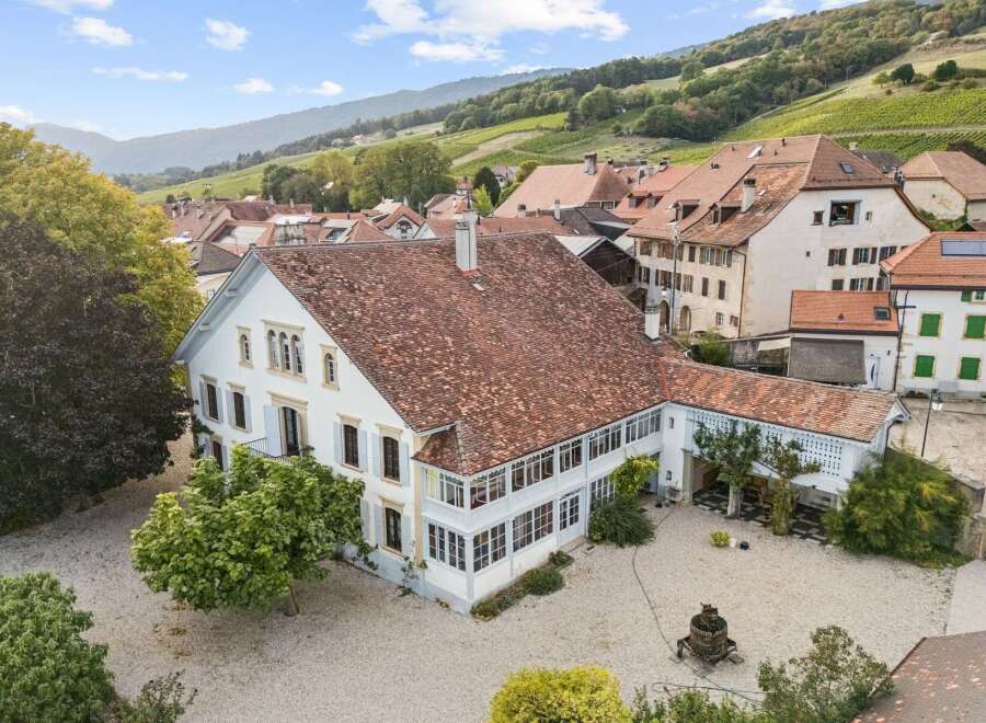 Discover this stunning property featuring a grand white house with a classic terracotta tile roof, nestled amidst charming village architecture and rolling vineyards.