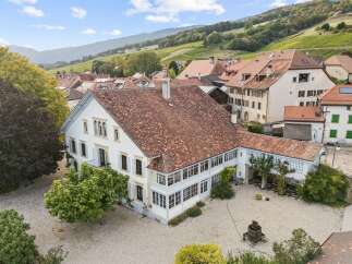 Discover this stunning property featuring a grand white house with a classic terracotta tile roof, nestled amidst charming village architecture and rolling vineyards.