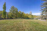 Enjoy the tranquility of this expansive backyard, perfect for outdoor gatherings and relaxation.