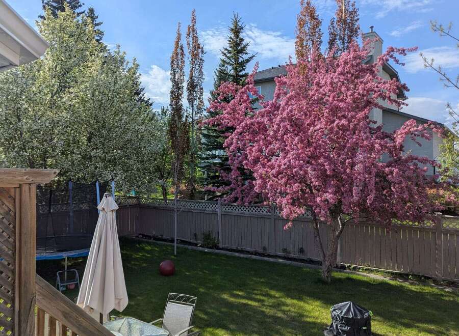 Enjoy the tranquility of this beautiful backyard oasis! Featuring lush green grass, mature trees, and a charming patio area, this property offers a perfect blend of comfort and natural beauty.
