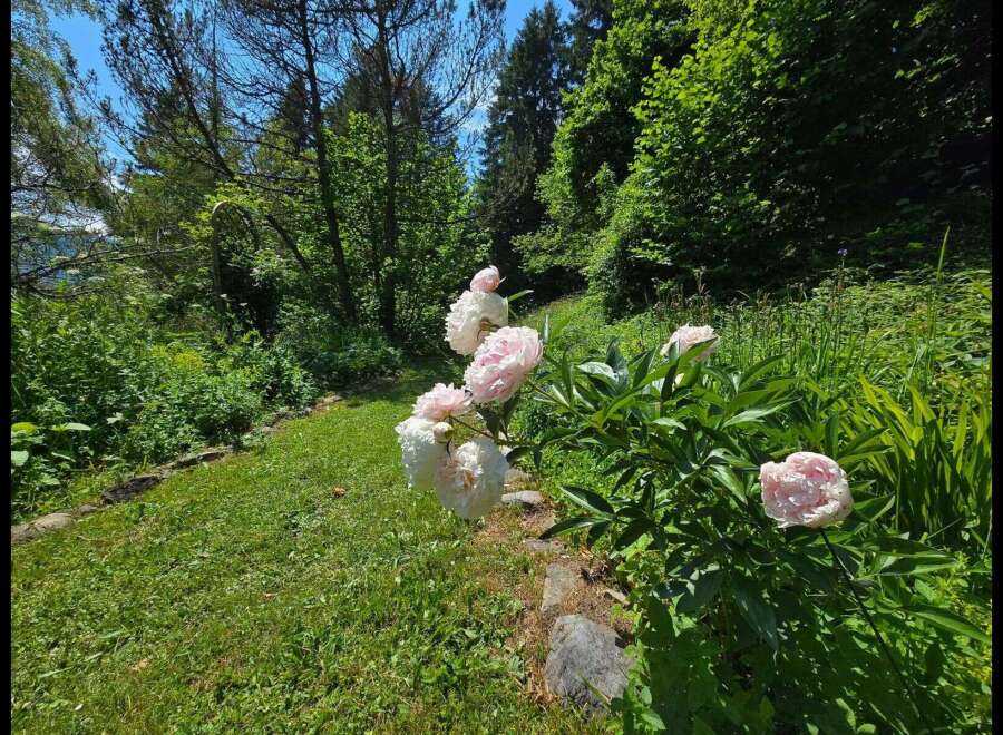 Discover the tranquility of this stunning property, featuring a lush garden with vibrant pink flowers.