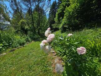 Discover the tranquility of this stunning property, featuring a lush garden with vibrant pink flowers.