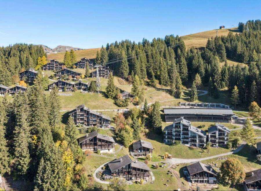 Discover a stunning mountain retreat with these charming chalets nestled amidst lush greenery.