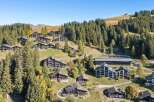 Discover a stunning mountain retreat with these charming chalets nestled amidst lush greenery.