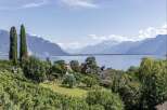 Experience breathtaking views from this stunning property.