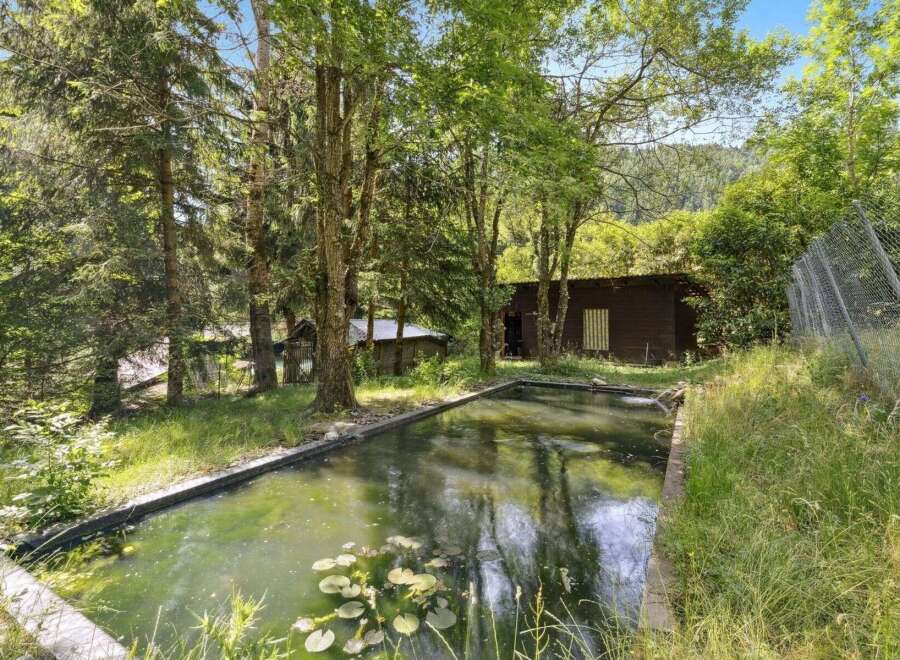 Discover a serene retreat with this stunning property, featuring a picturesque pond surrounded by lush greenery.