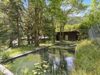 Discover a serene retreat with this stunning property, featuring a picturesque pond surrounded by lush greenery.