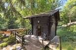 Nestled in a serene forest setting, this charming cabin offers a perfect blend of rustic charm and natural beauty.
