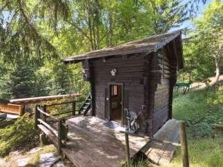Nestled in a serene forest setting, this charming cabin offers a perfect blend of rustic charm and natural beauty.
