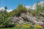 Nestled amidst the breathtaking Swiss Alps, this property offers unparalleled natural beauty and tranquility.