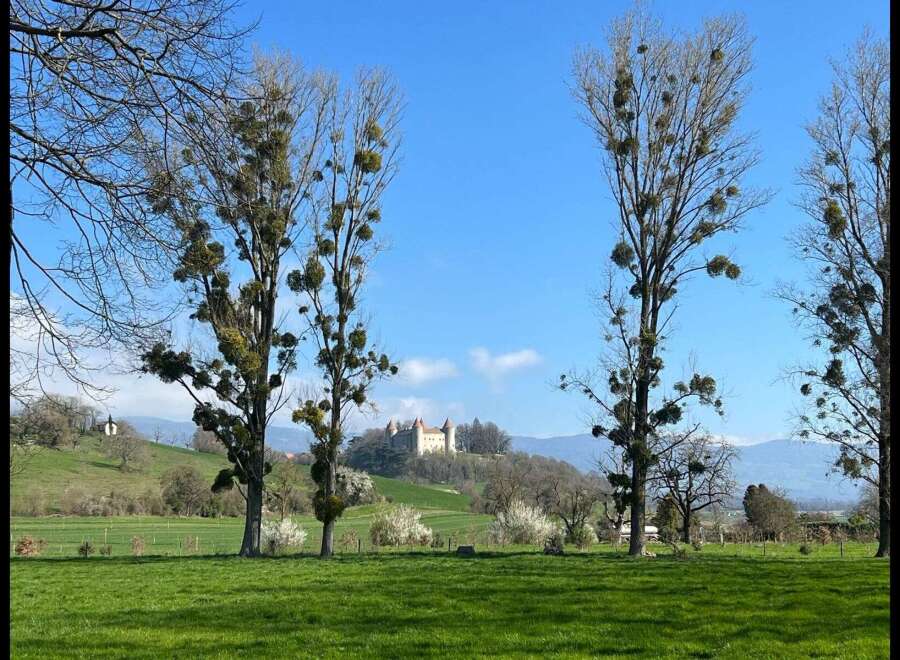 Discover the charm of this stunning property, nestled in a picturesque landscape.