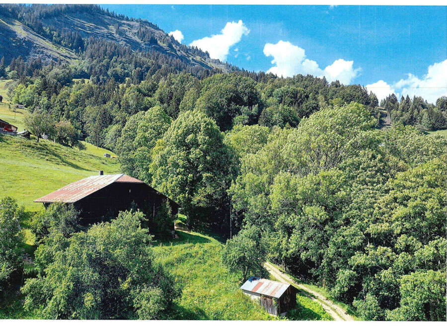 Nestled in a serene mountain landscape, this property offers a unique blend of natural beauty and rustic charm.