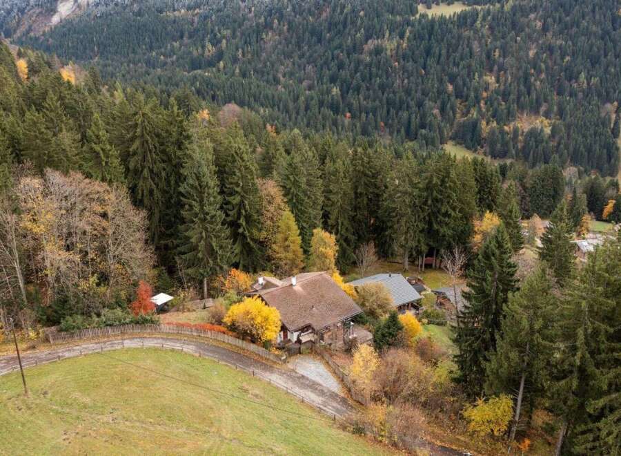 Nestled amidst a lush forest, this charming property offers a serene escape.