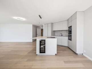 This modern kitchen boasts sleek, minimalist design with high-end appliances and ample storage.