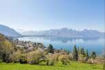 Discover breathtaking views and serene living in this stunning property.