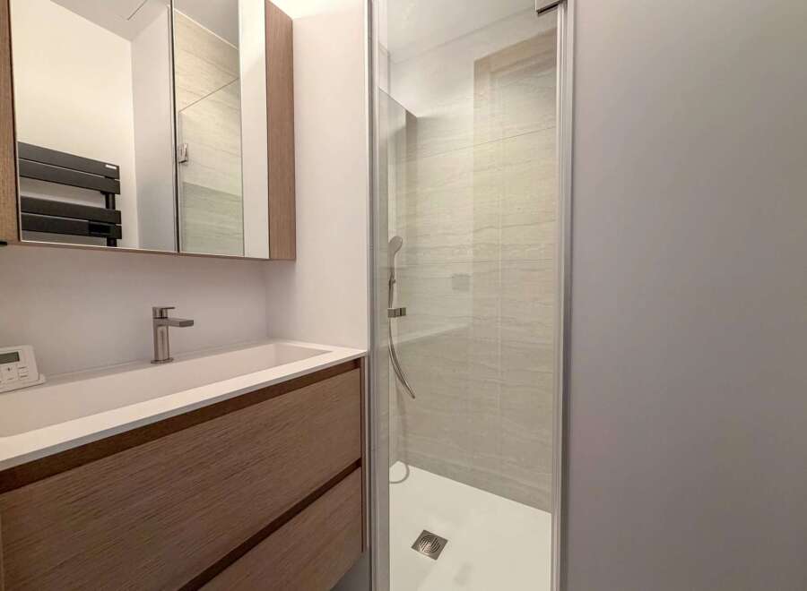 Discover a modern bathroom design featuring a sleek shower enclosure and a stylish vanity.