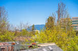 Enjoy stunning views from this property, featuring lush greenery and a clear blue sky.