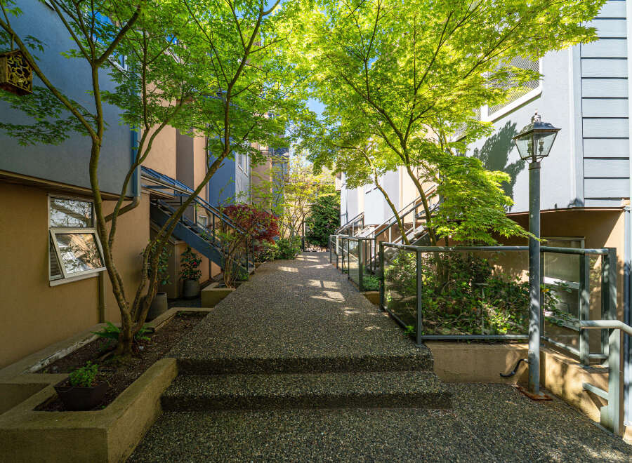 Discover a charming urban oasis with this beautifully landscaped walkway.