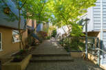 Discover a charming urban oasis with this beautifully landscaped walkway.