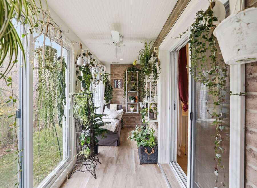 Step into a lush, plant-filled sunroom that brings the outdoors in.
