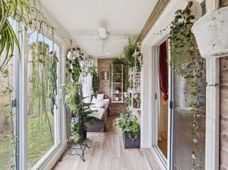Step into a lush, plant-filled sunroom that brings the outdoors in.