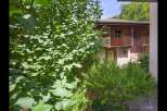 Discover a charming property nestled in a serene, natural setting.