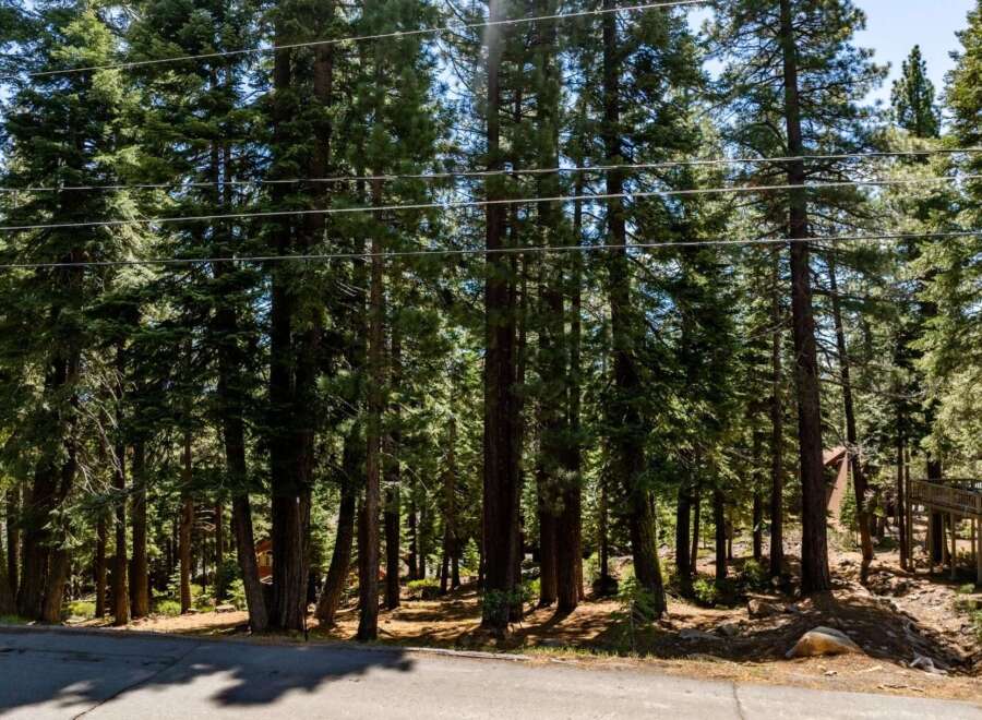 Nestled amidst towering trees, this property offers a serene escape.