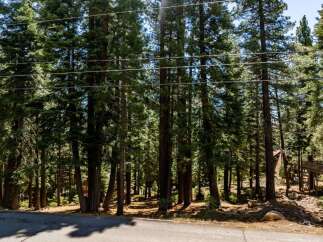 Nestled amidst towering trees, this property offers a serene escape.