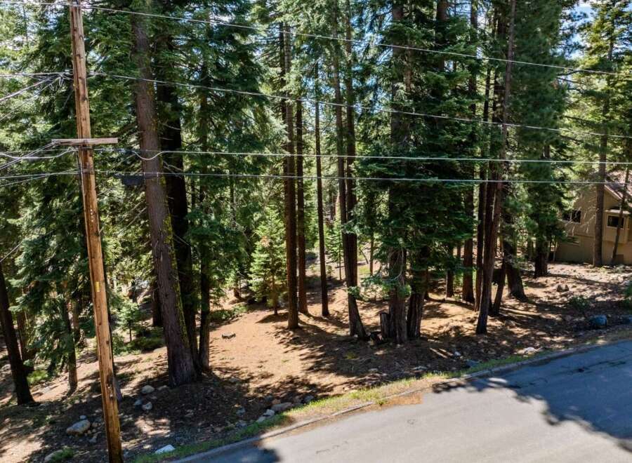 Discover a serene retreat nestled amongst towering trees.