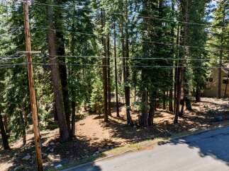 Discover a serene retreat nestled amongst towering trees.