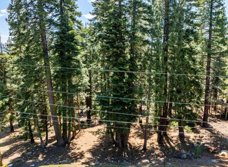 Discover the tranquility of this stunning property surrounded by lush trees.
