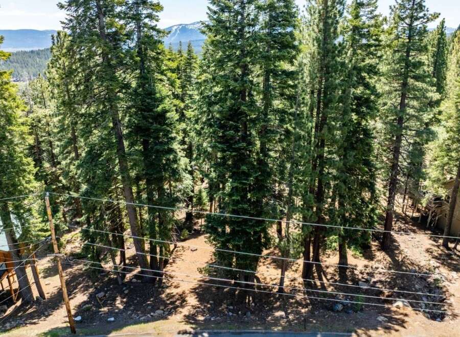 Discover the serenity of this stunning property nestled amongst towering trees.
