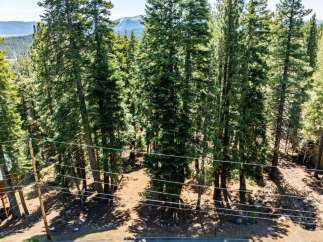 Discover the serenity of this stunning property nestled amongst towering trees.