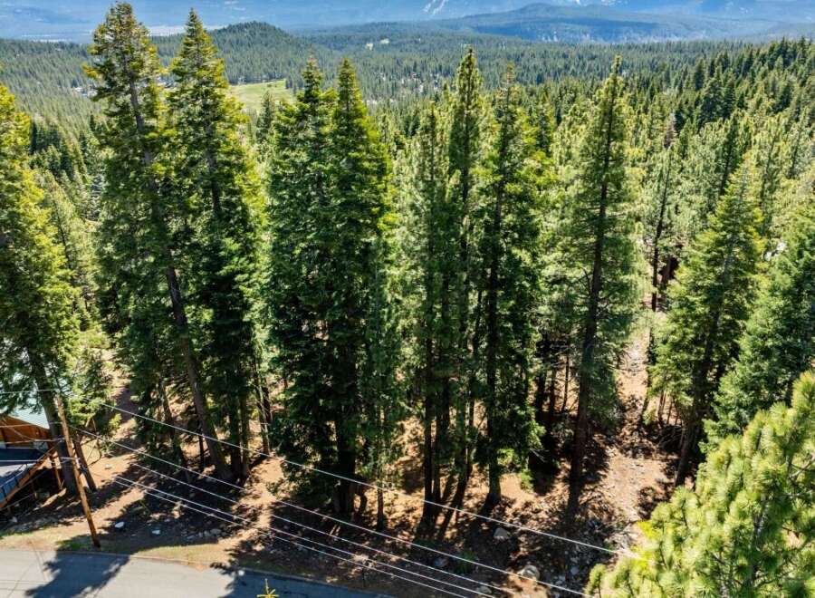 Discover the tranquility of this stunning property surrounded by lush, towering trees.