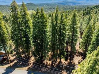 Discover the tranquility of this stunning property surrounded by lush, towering trees.