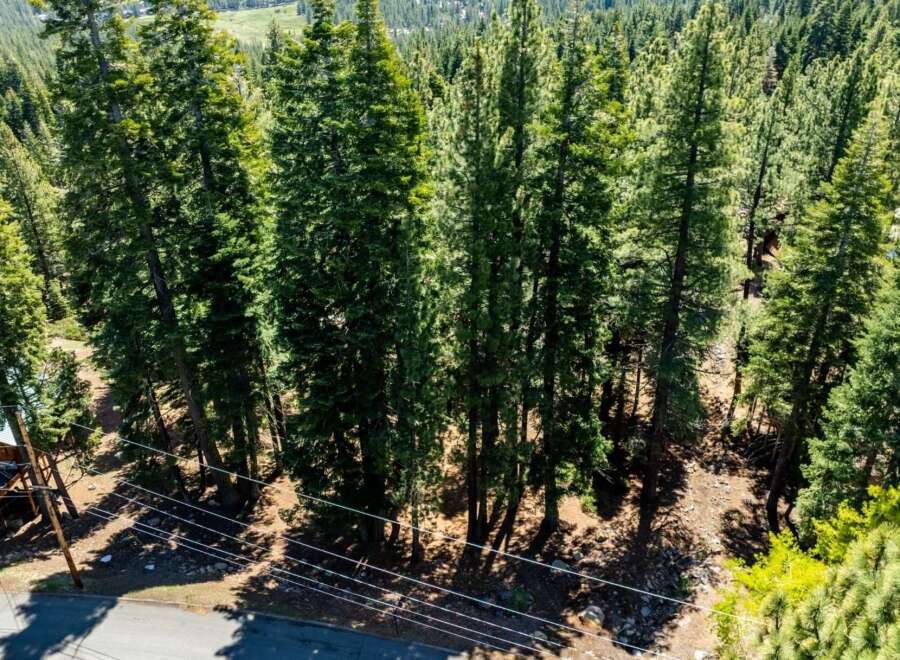Discover the tranquility of this stunning property nestled amidst a lush forest.