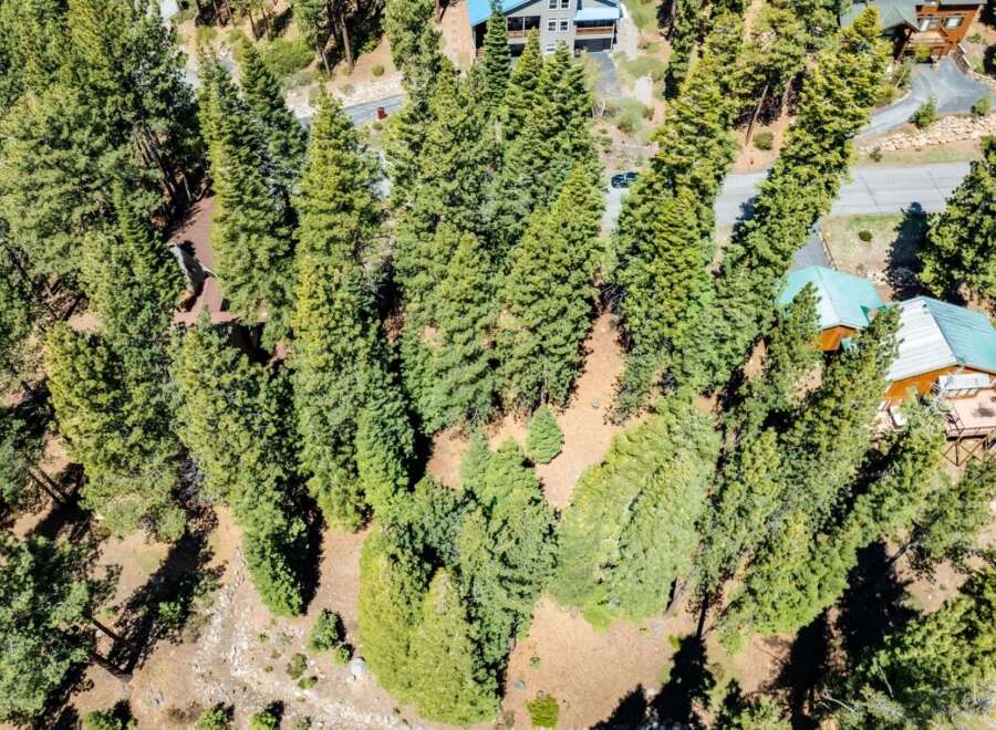 Nestled amidst a lush forest, this property offers a serene escape with stunning natural surroundings.
