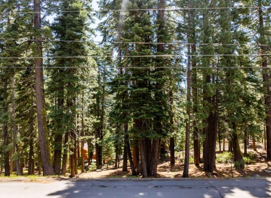 Nestled amongst towering trees, this property offers a serene escape.