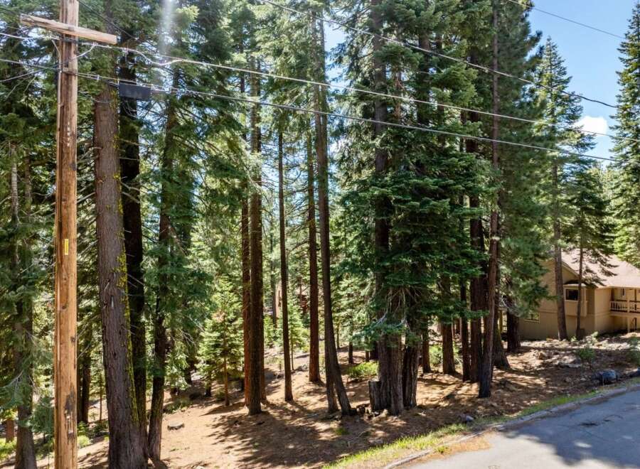 Nestled amidst towering trees, this property offers a serene escape.