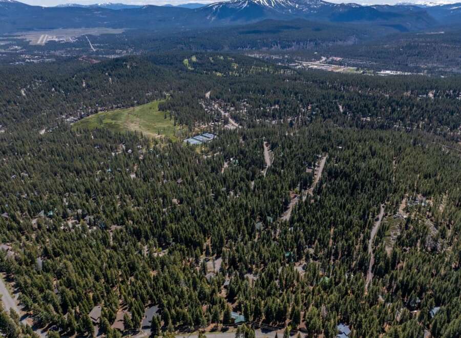 Discover a stunning property nestled in a lush, forested landscape.