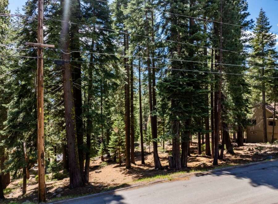 Nestled amidst a serene forest, this property offers a tranquil escape.