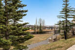 Enjoy the serene beauty of this park-like setting, perfect for relaxation and outdoor activities.