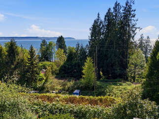 Enjoy breathtaking views from this stunning property! This home offers a serene escape with lush greenery and a tranquil waterfront backdrop.