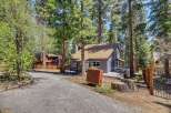 Nestled amidst towering trees, this charming cabin offers a serene escape.