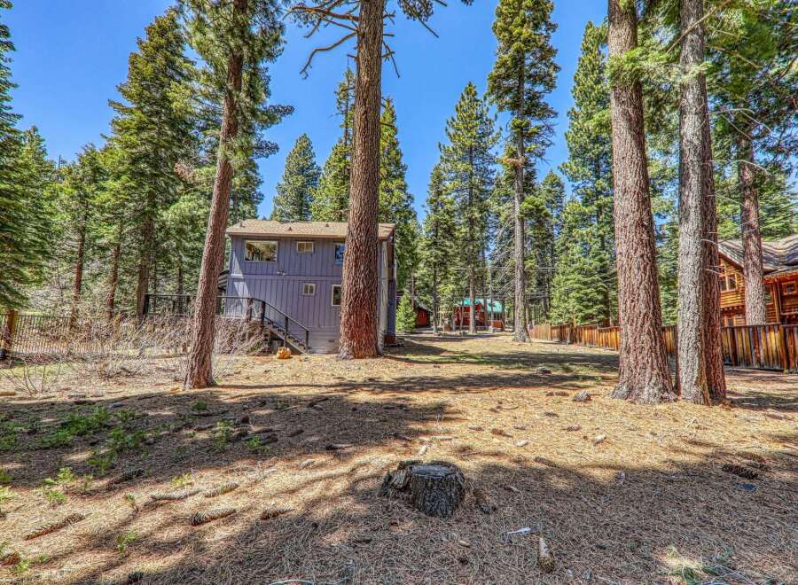 Nestled amidst towering trees, this property offers a serene escape.