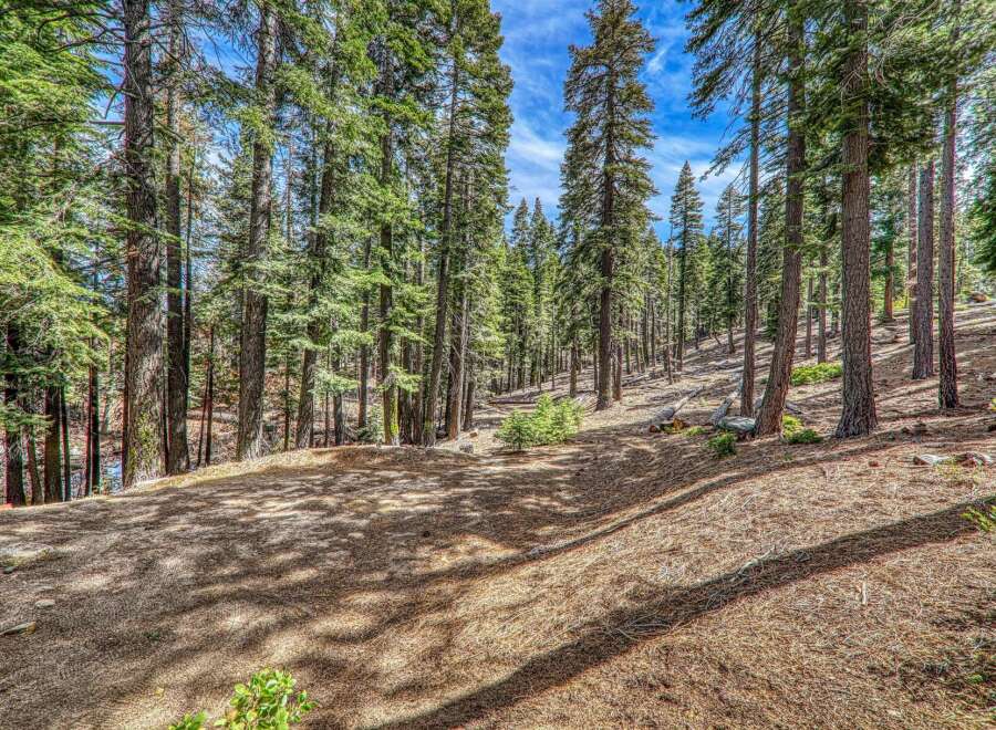 Discover the tranquility of this stunning forest property, perfect for nature enthusiasts and those seeking a peaceful retreat.